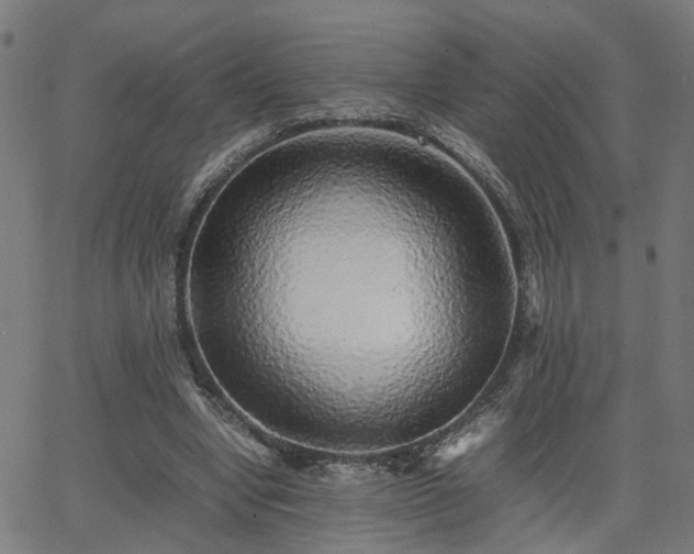 X0000062650442200512230900