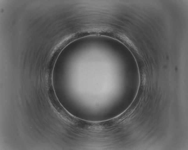 X0000062650444200512230900