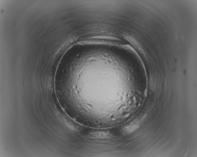 X0000062650449200512230900