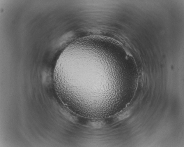 X0000062650466200512230900