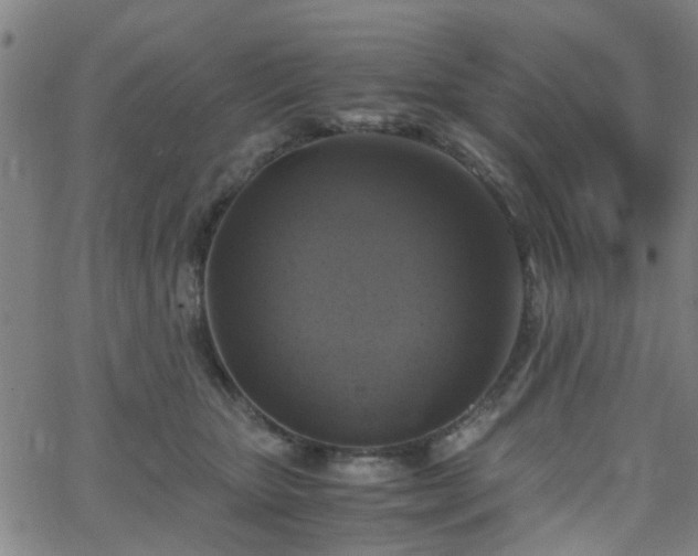 X0000062650467200512230900