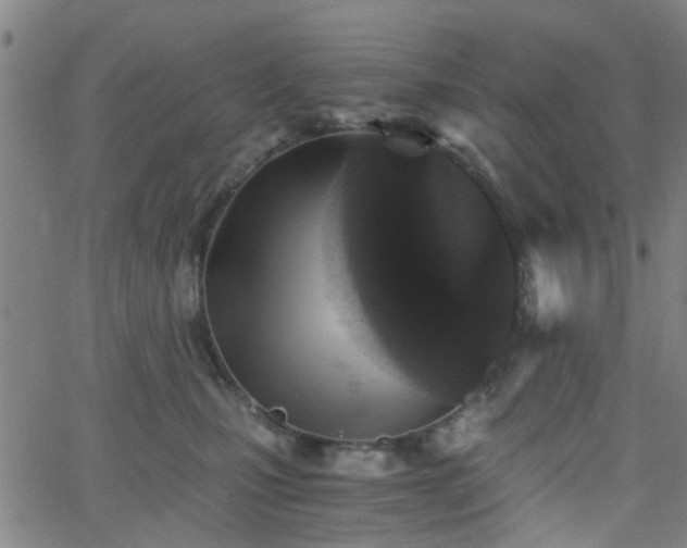 X0000062650471200512230900