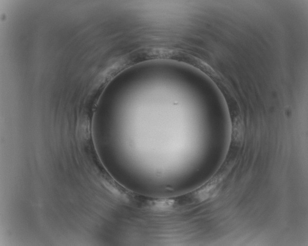 X0000062650474200512230900
