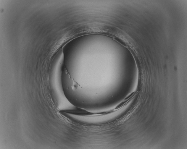 X0000062650481200512230900