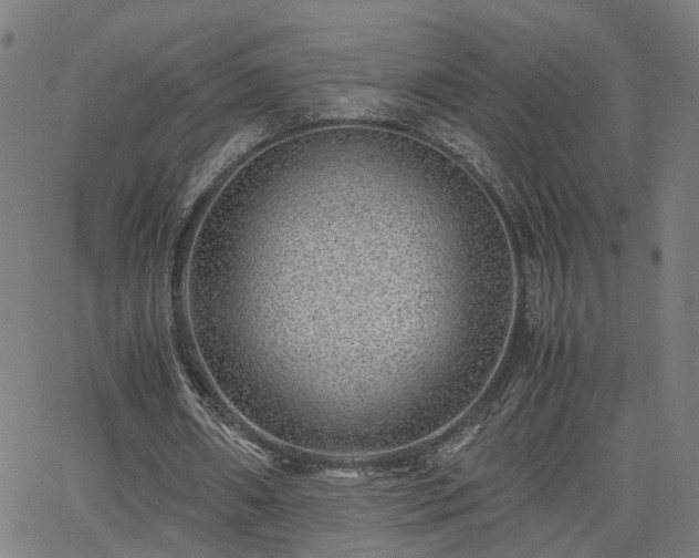 X0000062650482200512230900