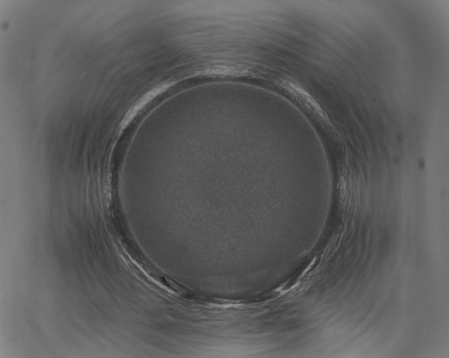 X0000062650484200512230900