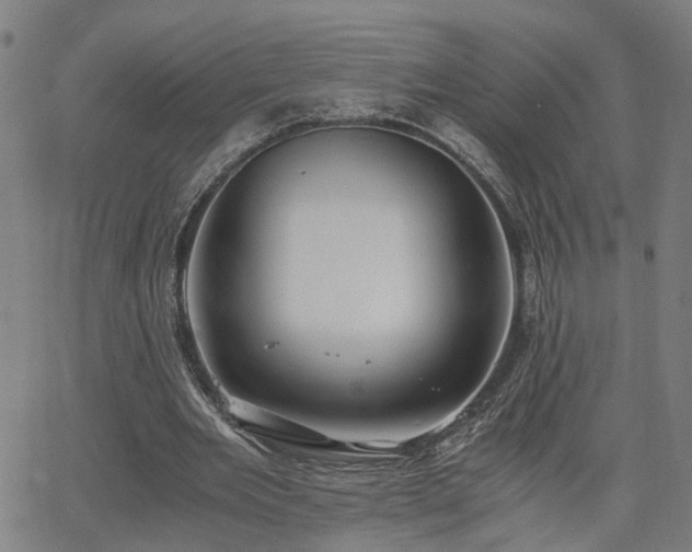 X0000062650485200512230900