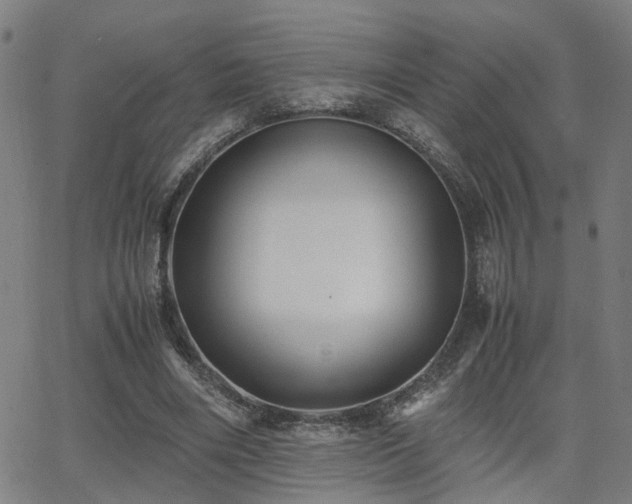 X0000062650490200512230859