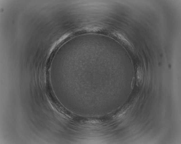 X0000062650492200512230859