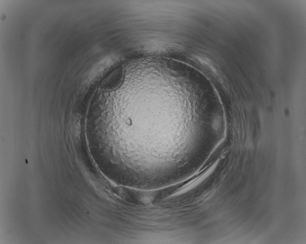 X0000062650495200512230859