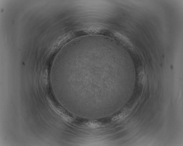 X0000062650498200512230859