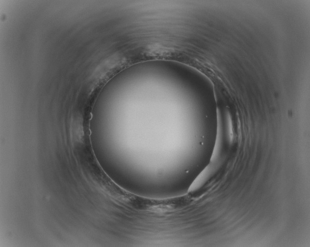 X0000062650508200512230859