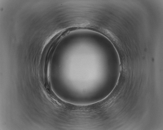 X0000062650532200512230858
