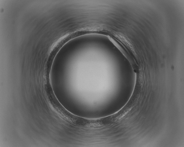 X0000062650536200512230858