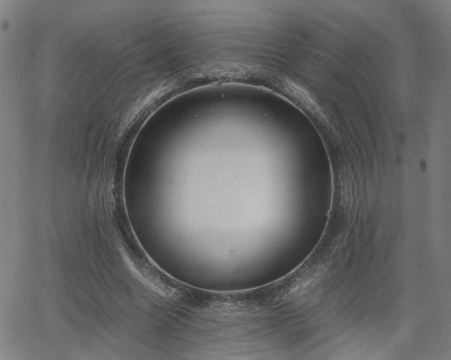 X0000062650538200512230858