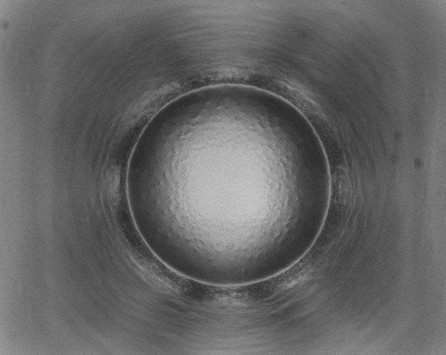 X0000062650550200512230858