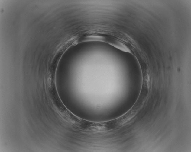 X0000062650552200512230858