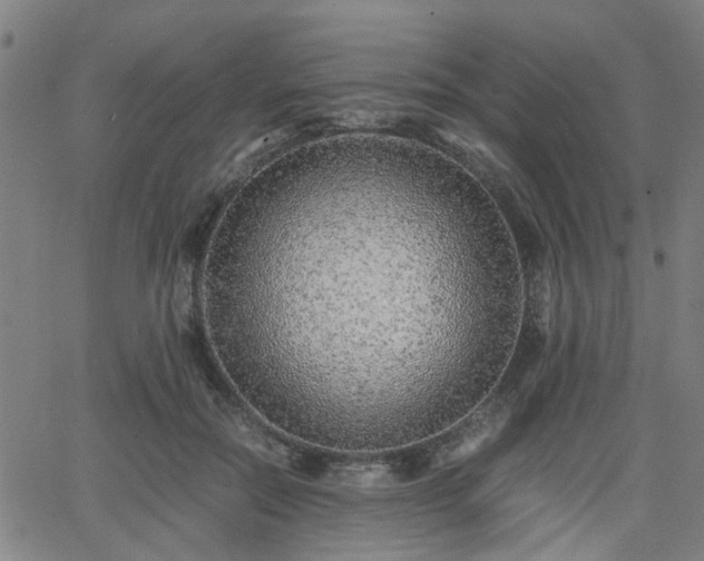 X0000062650554200512230858