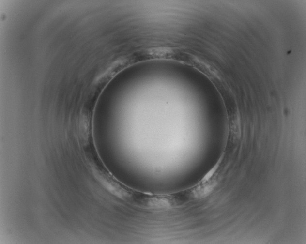 X0000062650572200512230859
