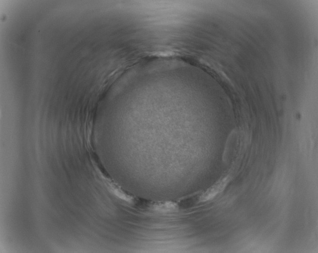 X0000062650576200512230859