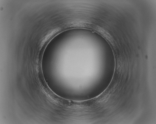 X0000062650578200512230858