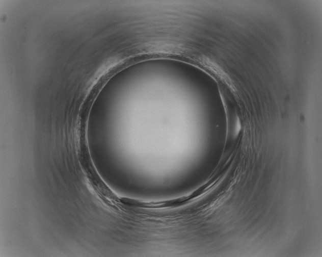 X0000062650580200512230858