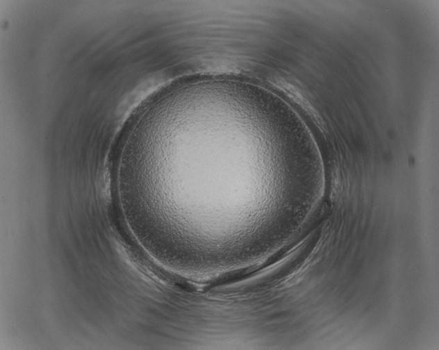 X0000062650584200512230858