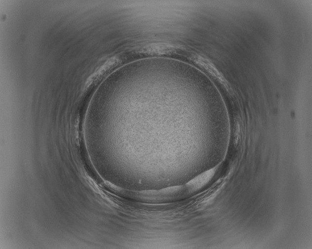 X0000062650585200512230858