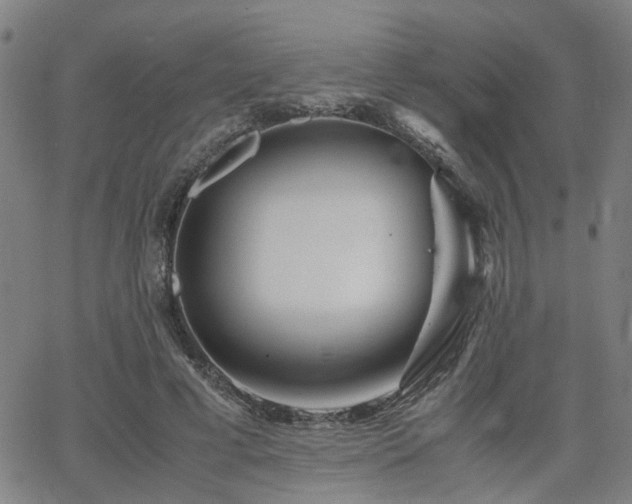 X0000062650593200512230858