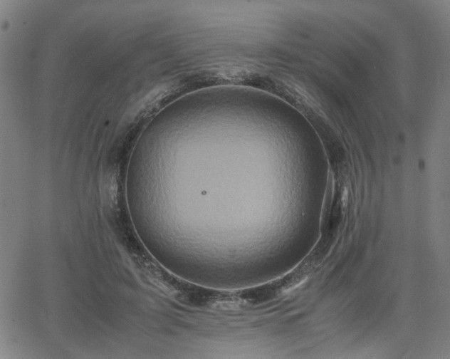 X0000062650595200512230858