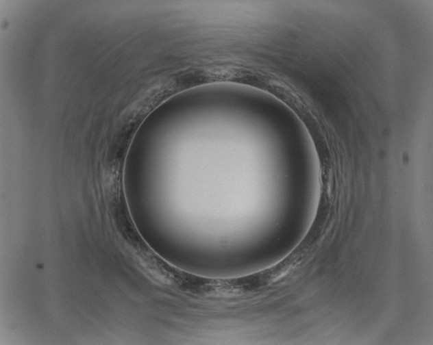X0000062650601200512230858