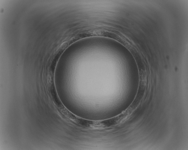 X0000062650603200512230858