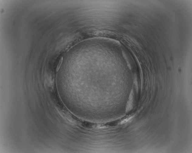 X0000062650607200512230858