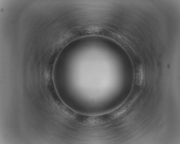 X0000062650608200512230858