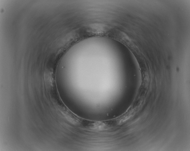 X0000062650612200512230857