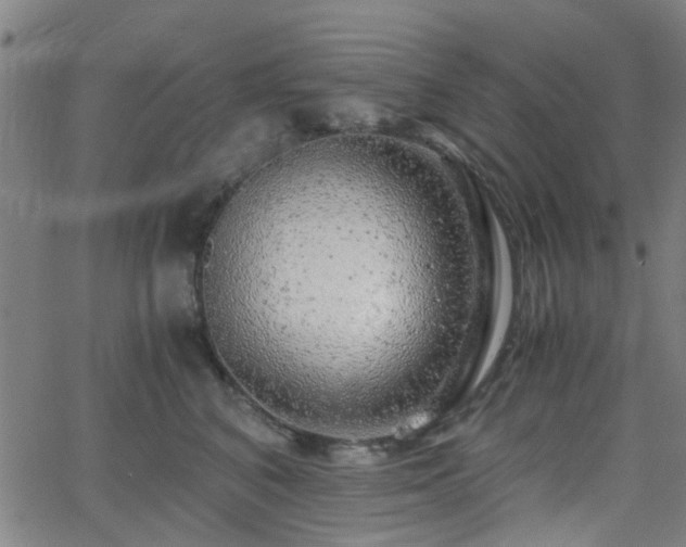 X0000062650616200512230857