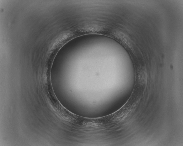 X0000062650635200512230857