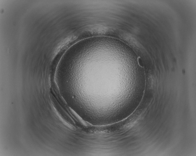 X0000062650638200512230857