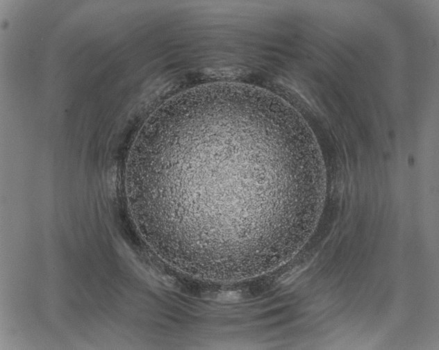 X0000062650647200512230857