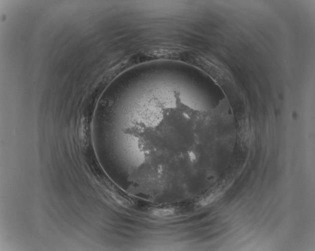 X0000062650653200512230857