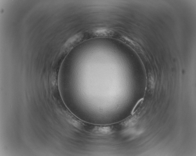 X0000062650665200512230857