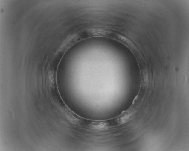 X0000062650667200512230857