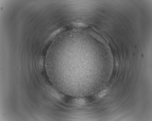 X0000062650668200512230857