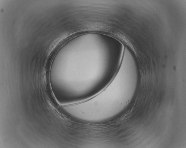 X0000062650676200512230856