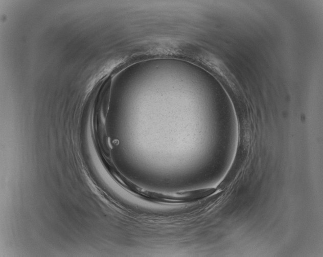 X0000062650677200512230856