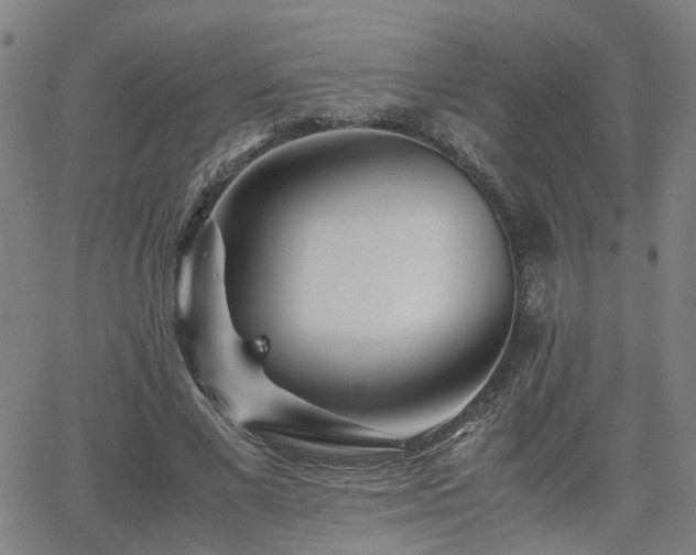 X0000062650685200512230856
