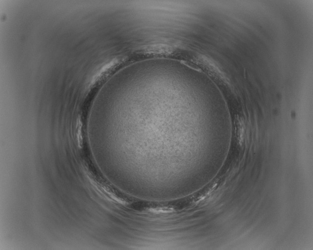 X0000062650692200512230856