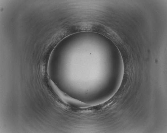 X0000062650697200512230856