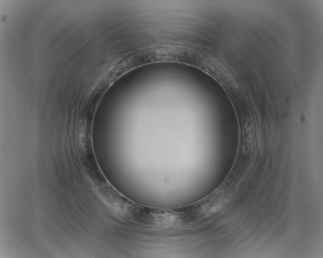 X0000062650698200512230856