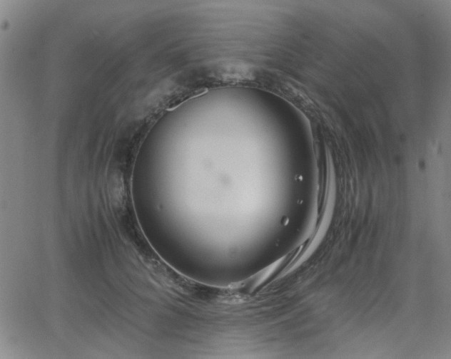 X0000062650704200512230856
